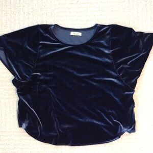 Madewell Navy Velvet Blouse